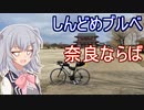 りっかのプチ旅行「介護(介錯)してもらいつつの200ブルベ！」【小春六花】