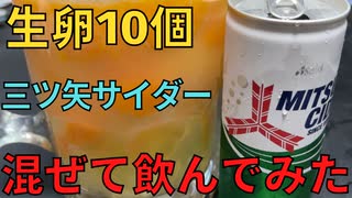 【完全栄養】　生卵10個に三ツ矢サイダー混ぜて乾杯する弱者男性