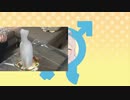 ヒカマニはおしまい！