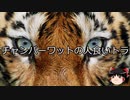 【ゆっくり朗読】ゆっくりさんと世界事件簿 その253