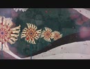 Candy Dulfer - All Love (Visualizer)