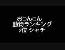 動物ランキング