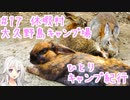 ひとりキャンプ紀行＃17「うさぎ・ウサギ・兎の楽園」【Cevio車載】【休暇村大久野島キャンプ場】