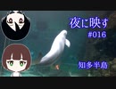 夜に映す#016 知多半島