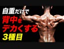 【筋トレ】自重だけで背中を鍛える 3種目  | ボディビルチャンピオンが解説【ビーレジェンド プロテイン】