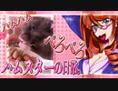 キッキのハムスターちゃんの日常。１８