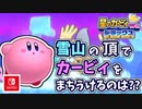 【星のカービィ Wii デラックス実況】空から謎の宇宙船が！？カービィの人助けの冒険がはじまる！！part22