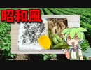 【VOICEVOX ずんだもん】  晩のオカズの豚小間肉とマイタケの炒め物とエダマメを使ったお弁当なのだ!!