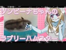 ゾンビーナのハムスターの日常。19