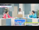 ひろゆき VS ひろゆきがディベート！？「嘘つくの辞めてもらっていいですか？」