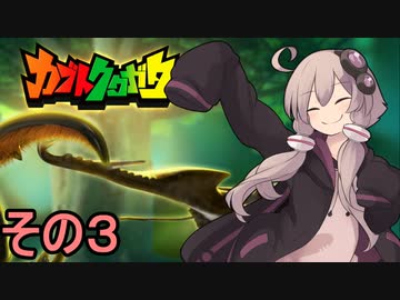 ゆかりさんの昆虫採集記3【カブトクワガタ】