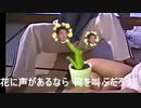 自由の解放の歌を世界に響かせる花