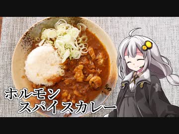 釣れなくても料理！ホルモンスパイスカレー（牛モツ）！【VOICEROIDキッチン】