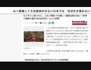 山へ移動しても自然林が少ない日本では　ほぼ生き残れない　#防災サバイバル