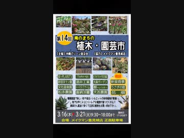 2023年3月17日、第14回南のまちの植木・園芸市散策♪