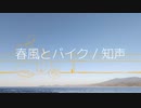 春風とバイク / KATSUOBUSHIMUSHI feat. 知声