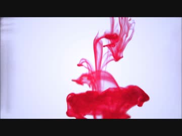 ロトンボンド / nosono feat.裏命,ONE