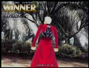 Fate/unlimited codes アーチャー プロローグ～中盤ストーリー