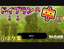 地下の始まりの塔とは･老人にケーキを見せると･明るいドイブランを観察！？など小ネタ集【ブレワイ BotW】裏技 バグ 検証 ゆっくり実況 glitch