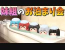 【ゆっくり茶番】妹組のお泊まり会