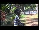 Man Climbing Coconut Tree
