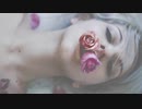 Lost Love / 初音ミク