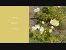 光の春　feat.巡音ルカ