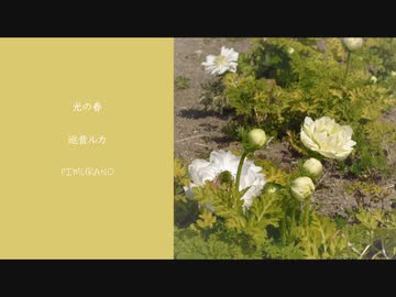 光の春　feat.巡音ルカ
