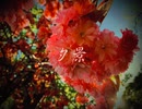 【オリジナル】夕景/初音ミク