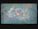 Butterfly effect
