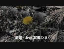 逍遥 feat.冥鳴ひまり/ ひやしやきそば