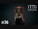 【STAR WARS JEDI : fallen order】カル・ケスティス、グレる【実況】#36