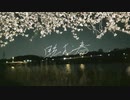 眩む春/flower
