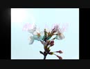 酔いと明星 / たなから feat. 巡音ルカ