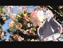 春疾風、刹那。 / Luuc1A feat.紲星あかり