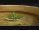 久々動画 -　 ふき の とうの はな