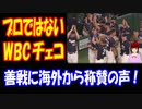 【海外の反応】 WBC 日本に 敬意を持って挑んだ チェコの勇姿に 海外から称賛の声！ 「ほとんどが別の仕事を持ちながら、野球をやってるというのが気に入ったよ」