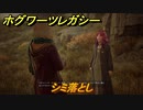 ホグワーツレガシー　シミ落とし　ストーリー攻略　＃８１　【Hogwarts Legacy】