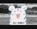 アオとうさのマイペースなカレー解説