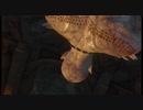 【低レベル】ウィッチャー3【13】