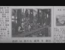 迫真国境警備部　密輸阻止の裏技mp11