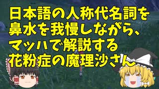 魔理沙さんの大分いい加減な人称代名詞高速解説