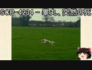 ゆっくりと一緒にSCPを紹介したい！その133【SCP】
