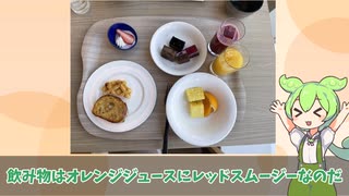 【ずんだもん】超エリート社会人がホテルオーレインに泊まった動画【ホテル レビュー】