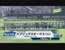 【ウマ娘風】第72回スプリングステークスGⅡ(2023)【べラジオオペラ】