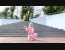 【みのひ】メグメグ☆ファイアーエンドレスナイト 踊ってみた