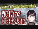 【にじさんじ】ガチ恋リスナーに無理難題をふっかけるにじさんじのかぐや姫瀬戸美夜子