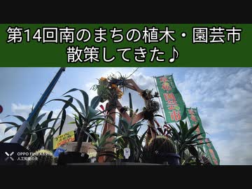 第14回南のまちの植木・園芸市 散策♪