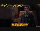 ホグワーツレガシー　発見の闇の中　ストーリー攻略　＃８７　【Hogwarts Legacy】