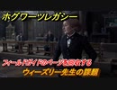 ホグワーツレガシー　ウィーズリー先生の課題　フィールドガイドのページを回収する　ストーリー攻略　＃９１　【Hogwarts Legacy】